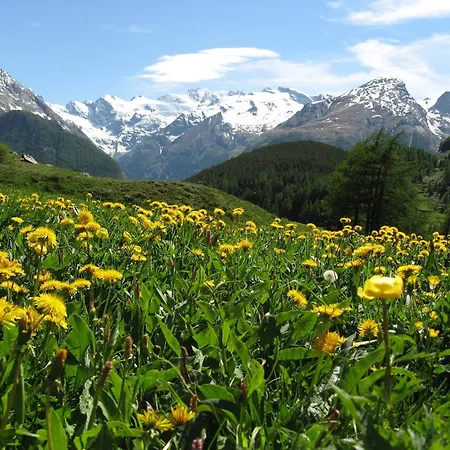 فندق Petit Giles