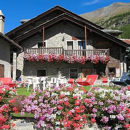 Petit Giles Cogne